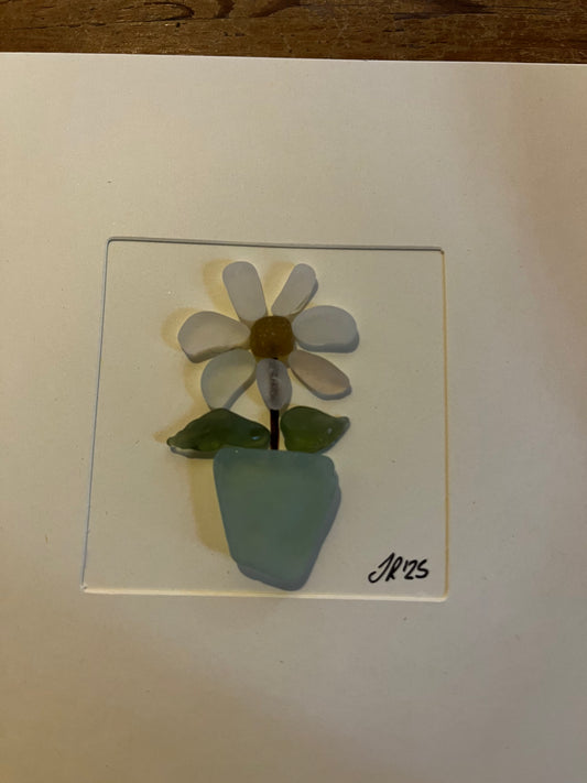 Daisy - Blank Card
