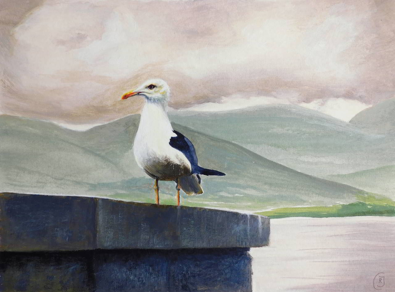 Skye Aileana Seagull - a bird portrait
