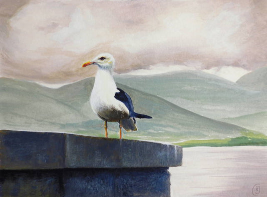 Skye Aileana Seagull - a bird portrait